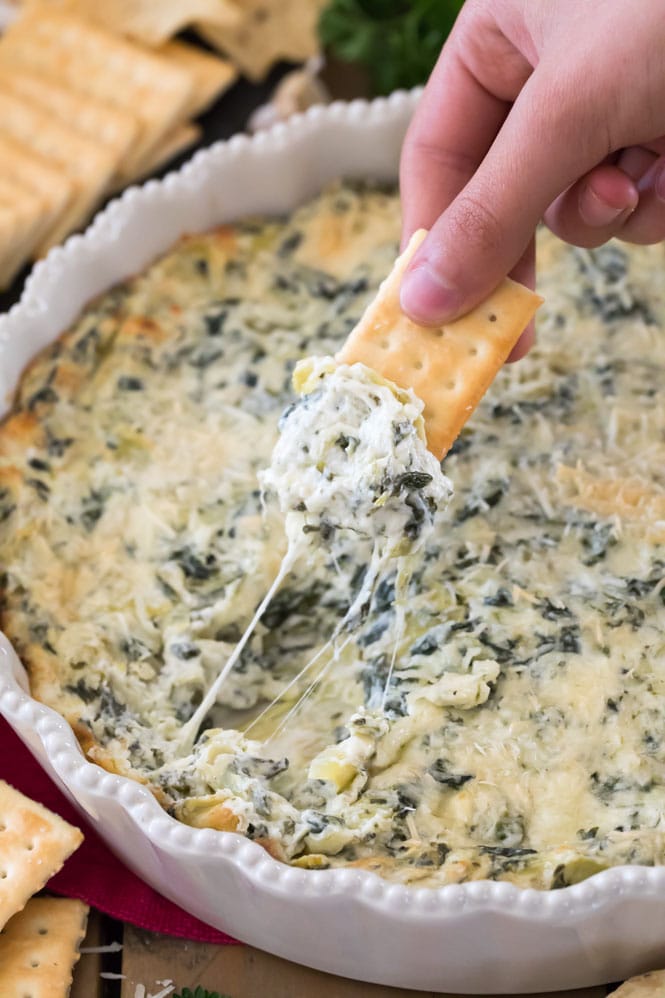 Simply the BEST Spinach Artichoke Dip! This is a creamy, easy, cheesy recipe! #sugarspunrun #spinachartichokedip #potluckrecipe Using a cracker to scoop cheesy spinach artichoke dip out of a white dish