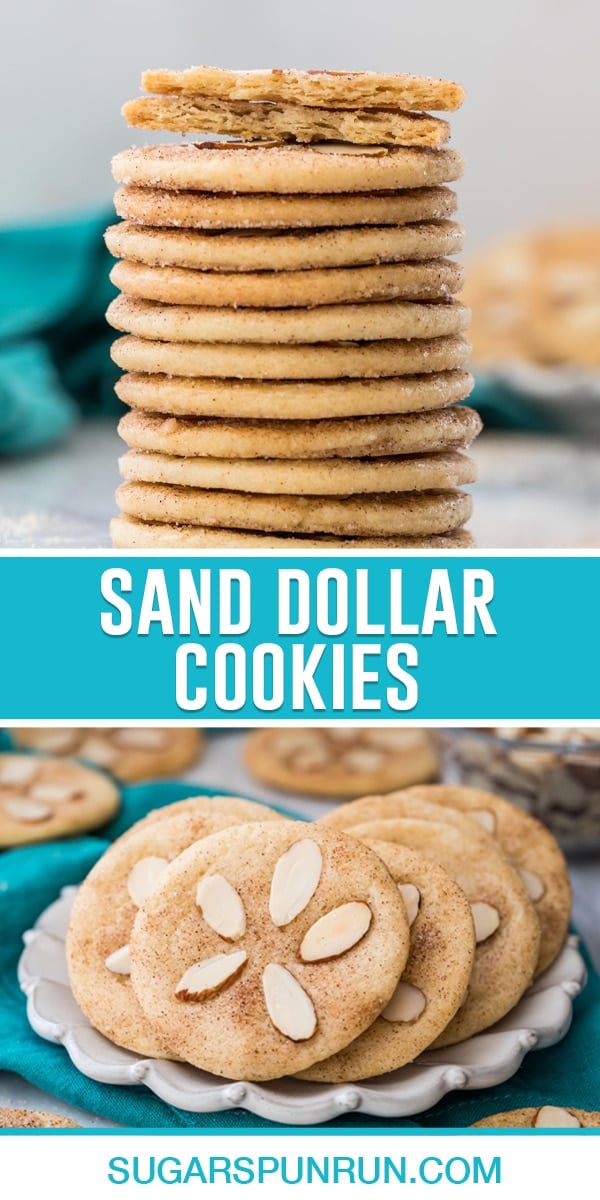 collage of sand dollar cookies, top image of cookies stacked, bottom image of several cookies on white plate