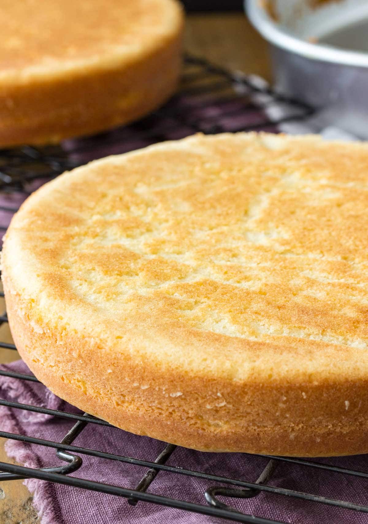 Two layers from my vanilla cake recipe, unfrosted and cooling on a black cooling rack.
