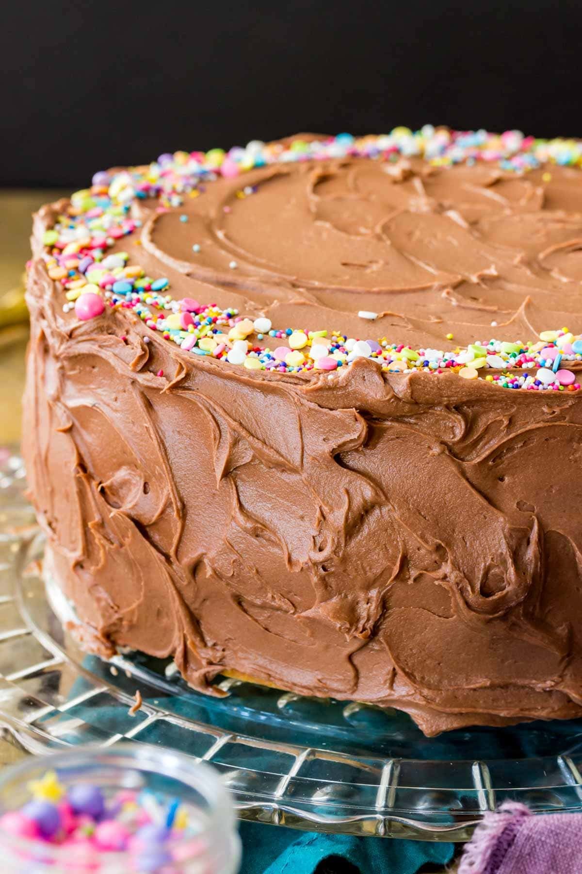 A chocolate frosted vanilla cake with sprinkles on top. 
