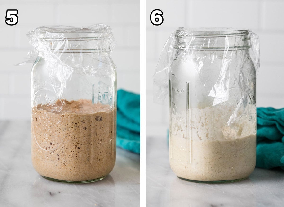 Images of step 5 and 6 of making sourdough starter