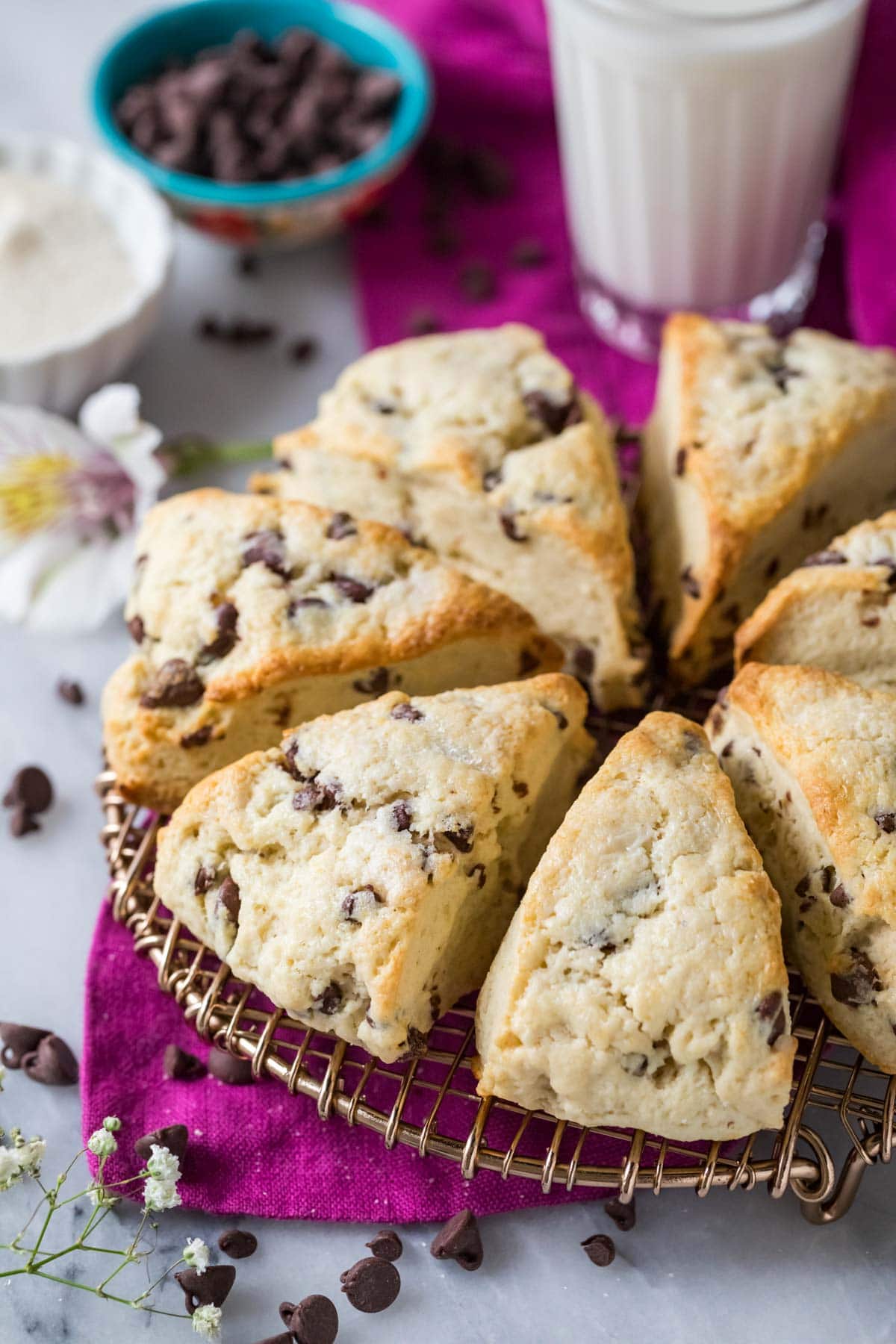 Chocolate chip sourdough scones arranged in a circle on a round cooling rack.