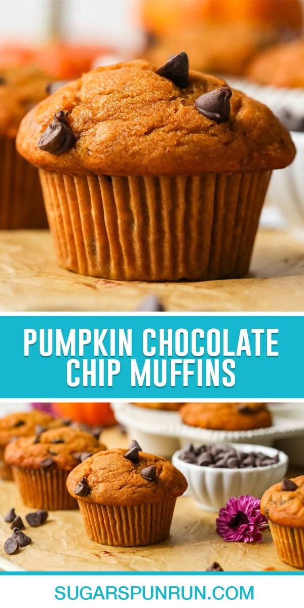 collage of pumpkin chocolate chip muffins, top image of single muffin up close, bottom of multiple muffins on wood slab