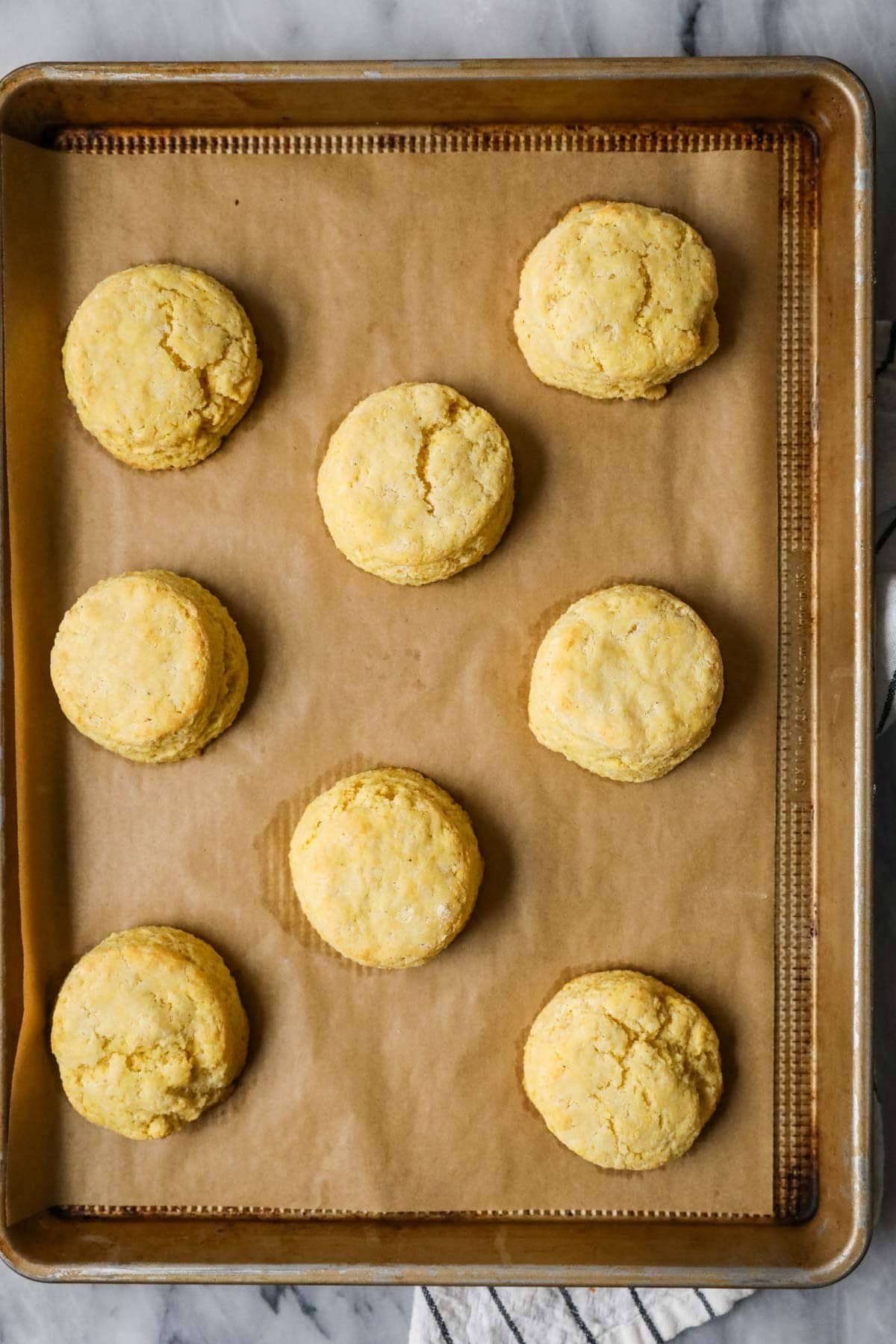Overhead view of cornbread biscuits on a baking sheet after baking.