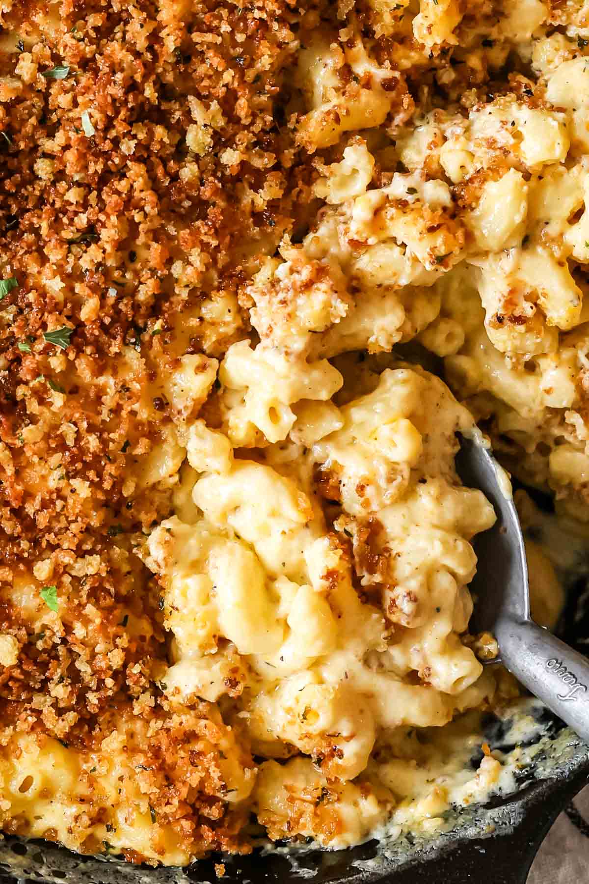 Close-up of creamy, cheesy baked mac and cheese in dish with serving spoon and crispy panko.